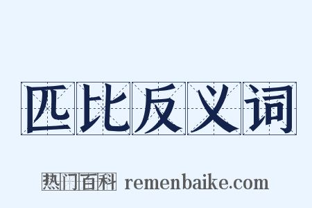 匹比反义词是什么意思的图片